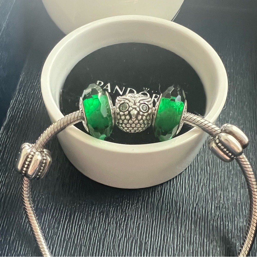 Pandora Authentic 925 Ale Bracelet Bundle - image 2